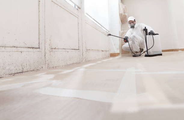 24/7 Emergency Mold Remediation experts in Dickerson, MD